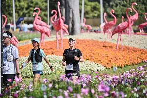 BIB: 
                            <button type="button" onclick="openModal(27794242)" class="btn btn-primary btn-sm float-right btn-popup" data-toggle="modal" data-target=".modal-high-quality">
                        <i class="fas fa-shopping-cart"></i> Add to Cart
                    </button>
                                            <button type="button" onclick="isThisMe(27794242, true)" class="btn btn-success btn-sm float-right btn-popup btn-isme hidden" data-toggle="tooltip" data-placement="bottom" title="นี่คือรูปของคุณใช่ไหม คลิกที่นี่เพื่อเอาเข้าอัลบั้ม">
                        <i class="fas fa-plus"></i> Add to album
                    </button>
                    <button type="button" onclick="isThisMe(27794242, false)" class="btn btn-warning btn-sm float-right btn-popup btn-isnotme hidden">
                        <i class="fas fa-ban"></i> Remove from album
                    </button>